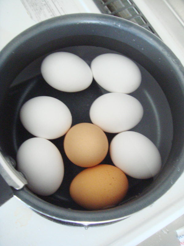 レディスシェービングの新ブランド戦略