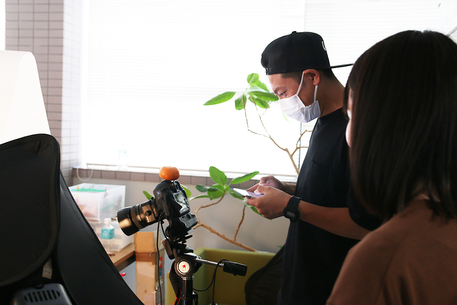 何かしらの撮影