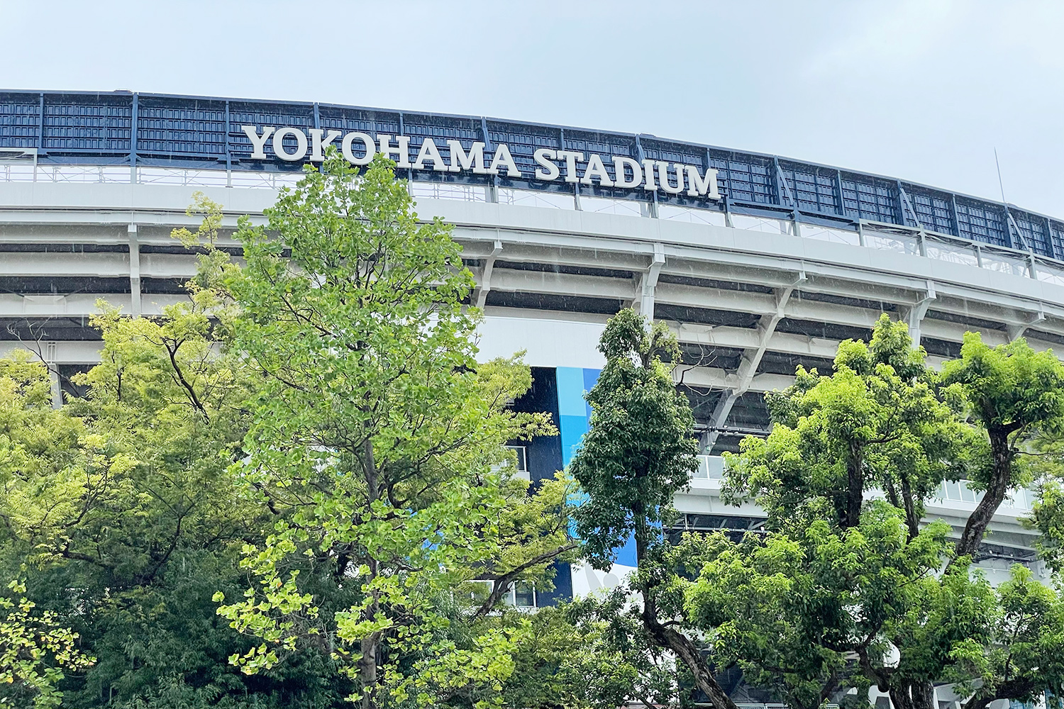 税理士事務所のデザイン