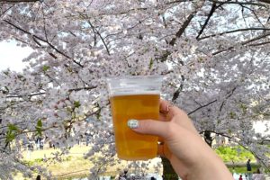 ジマンの街！岡崎の桜