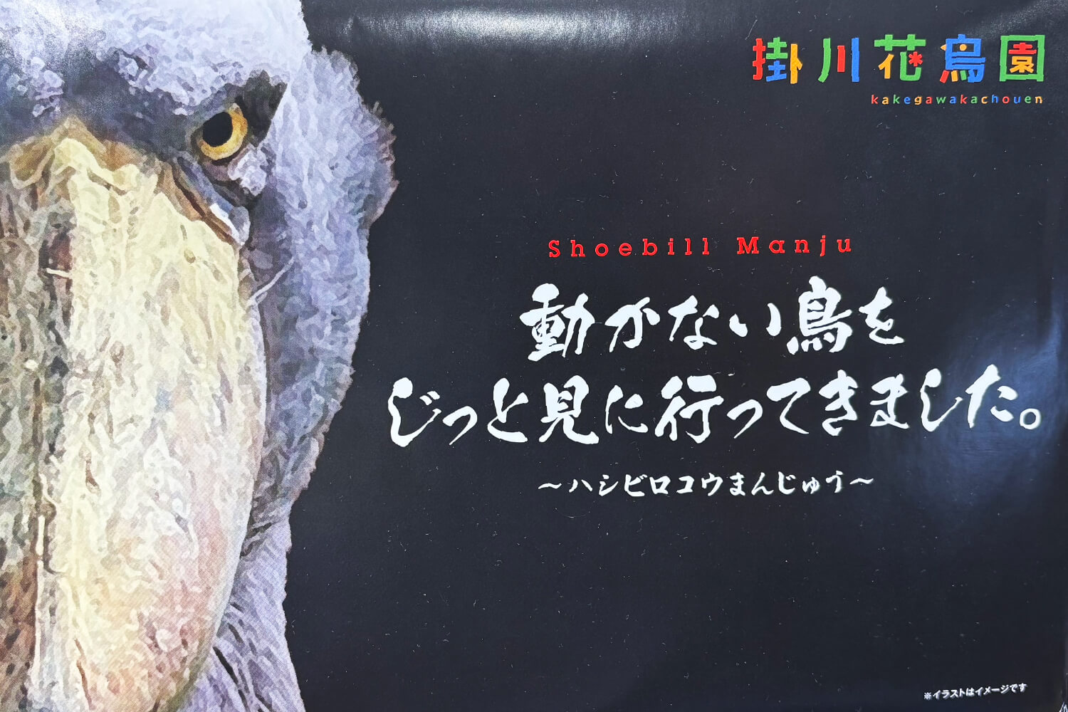 アニマルセラピー