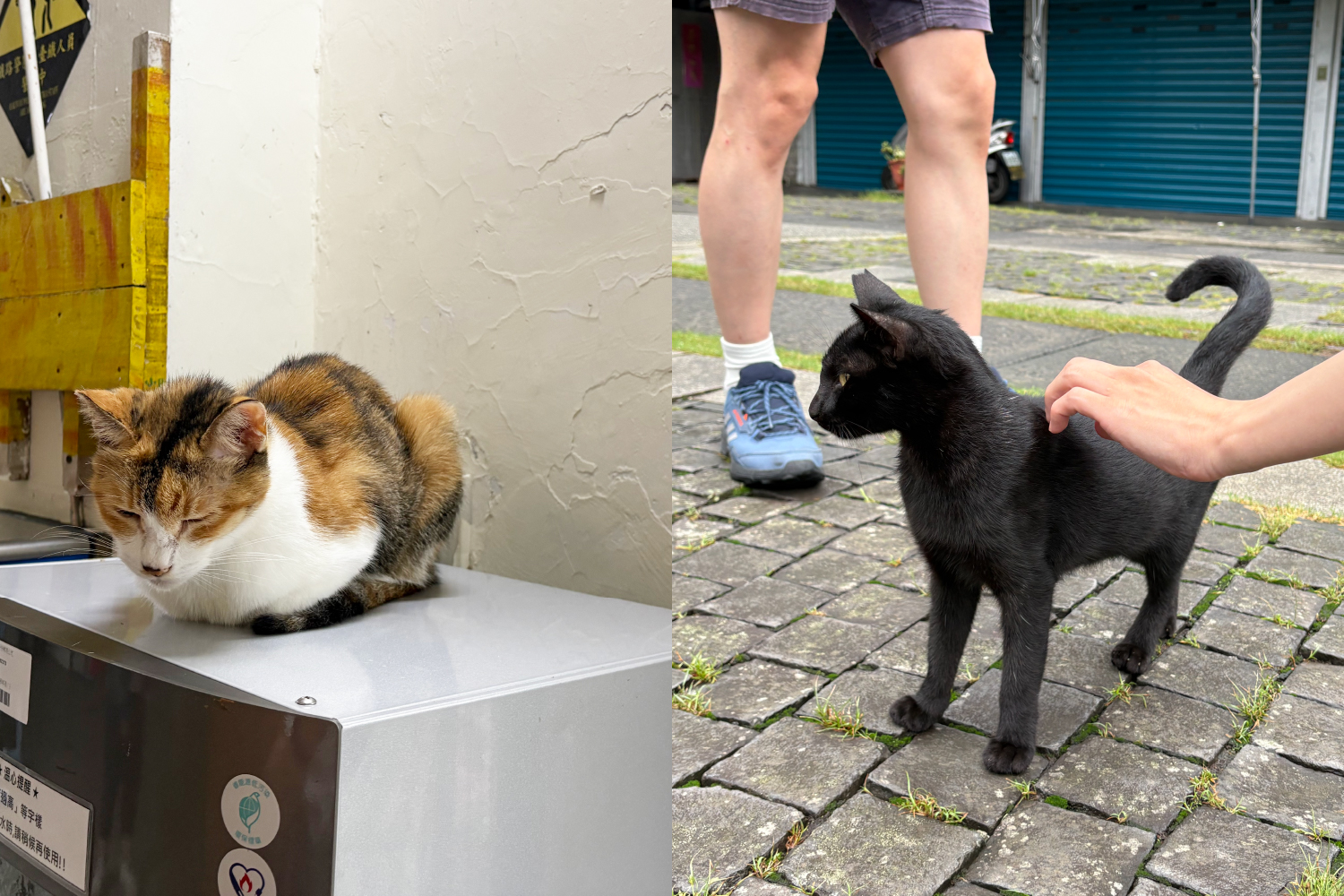 台湾行ってきた(観光地編)