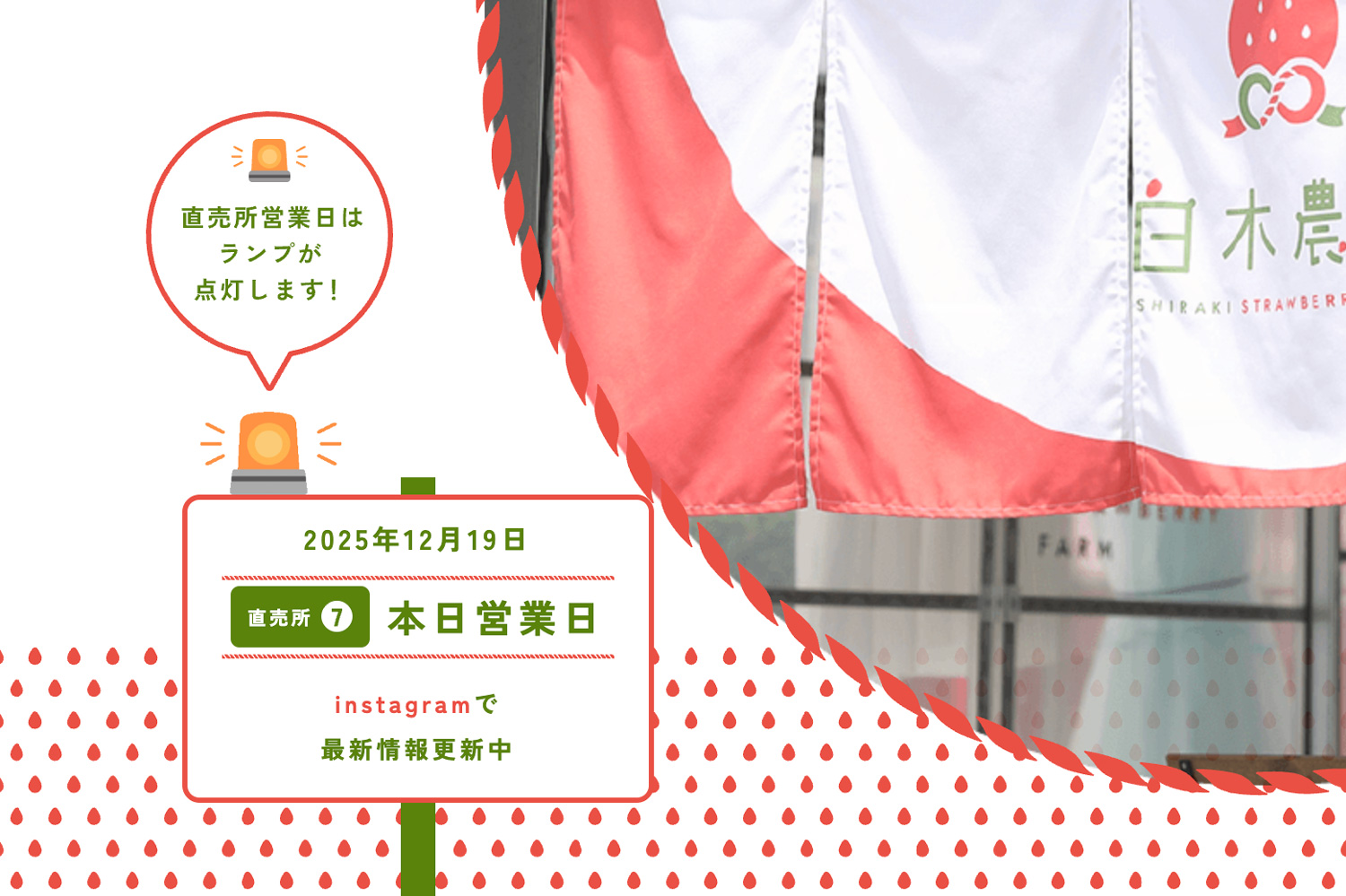 白木農園営業中