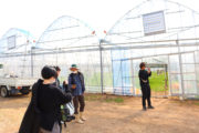 新ハウス見学！！_橘萄園プロジェクト