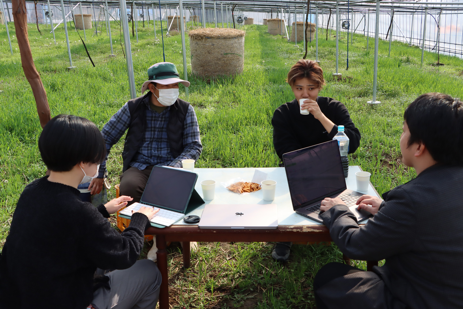 橘萄園新ハウス