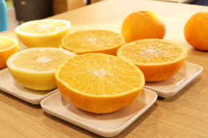 柑橘のいただきもの
