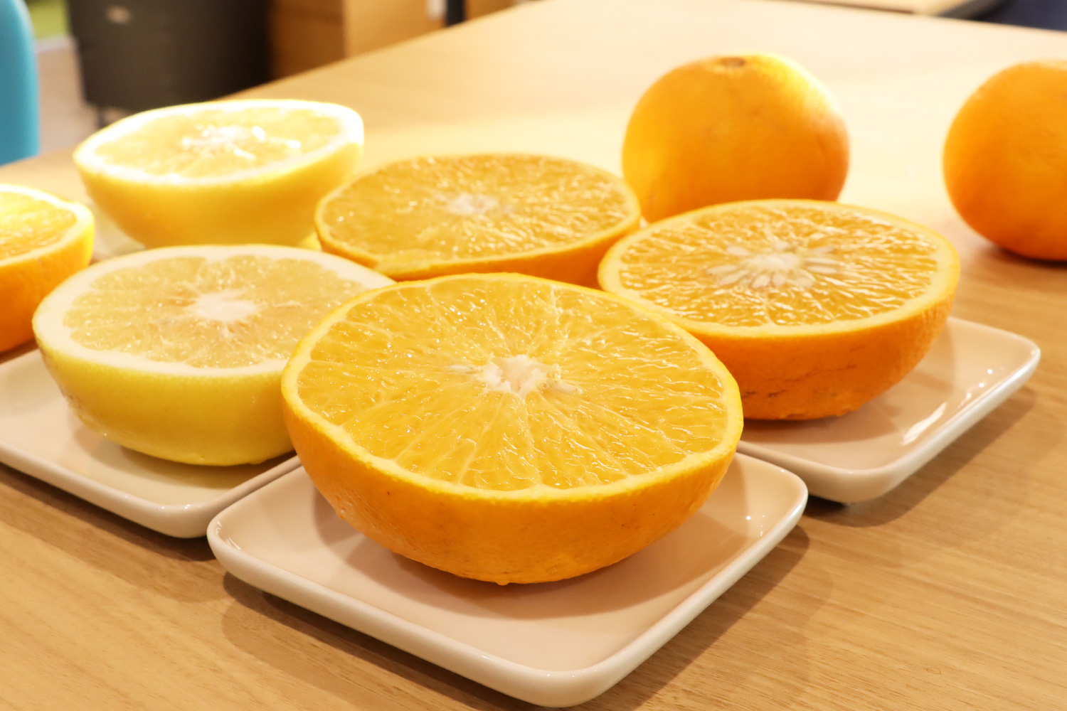 柑橘のいただきもの