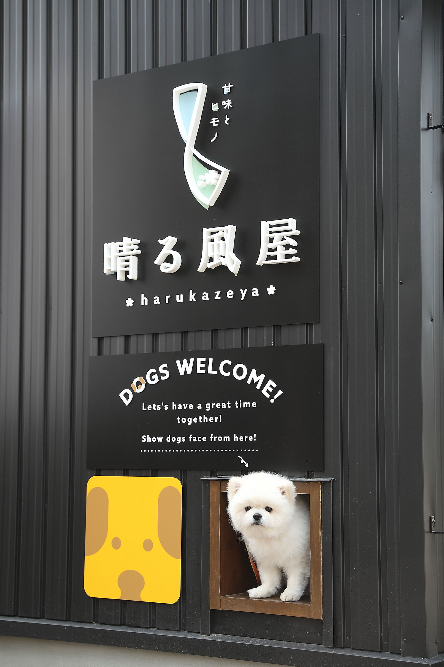 晴る風屋の店舗デザイン