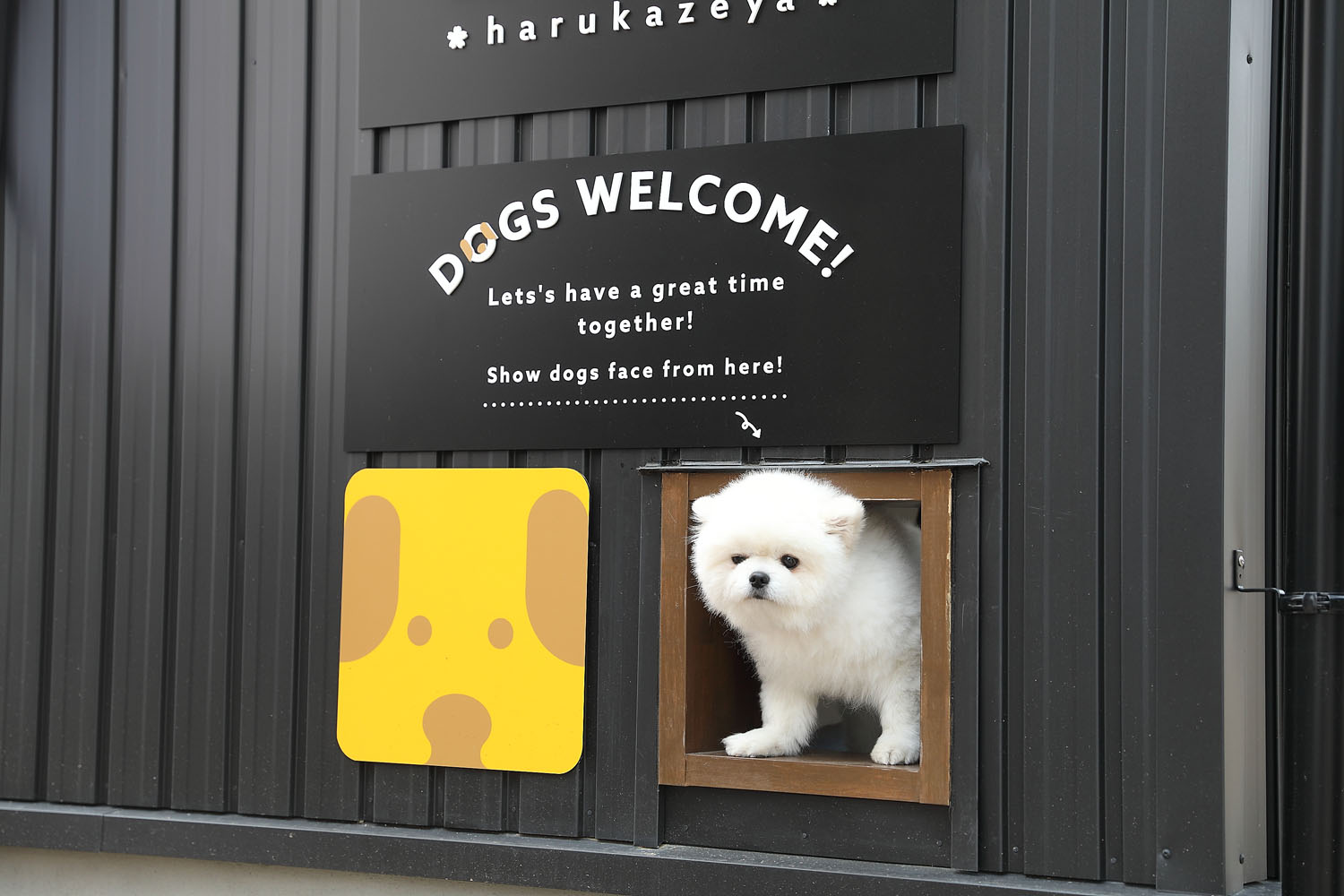 晴る風屋の店舗デザイン