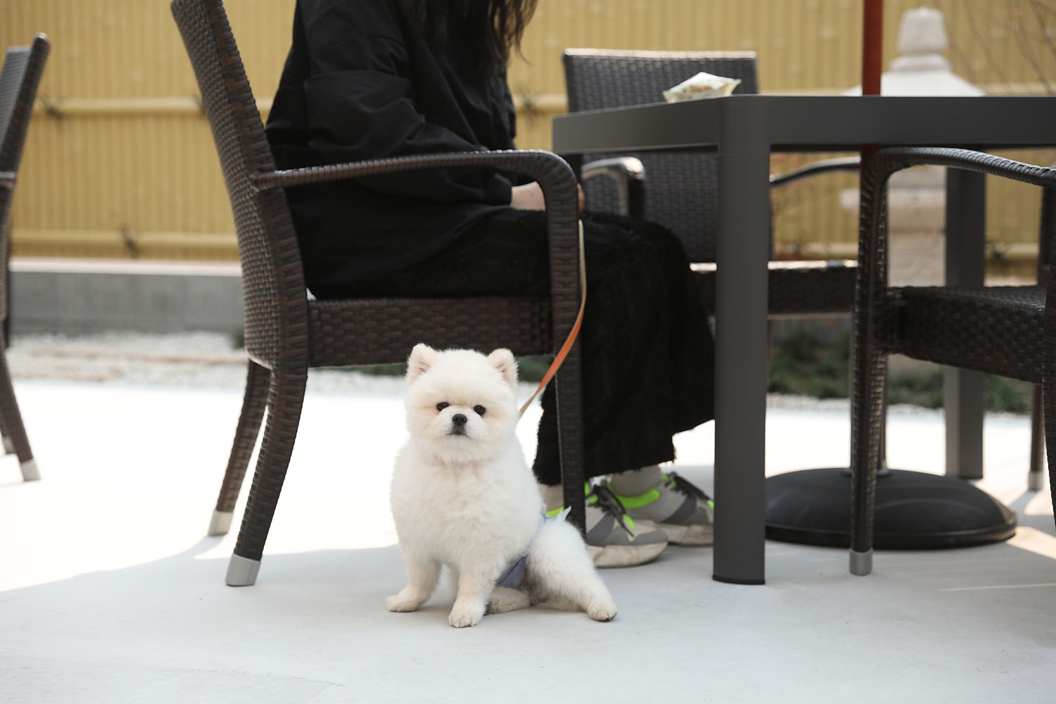 晴る風屋の店舗デザイン
