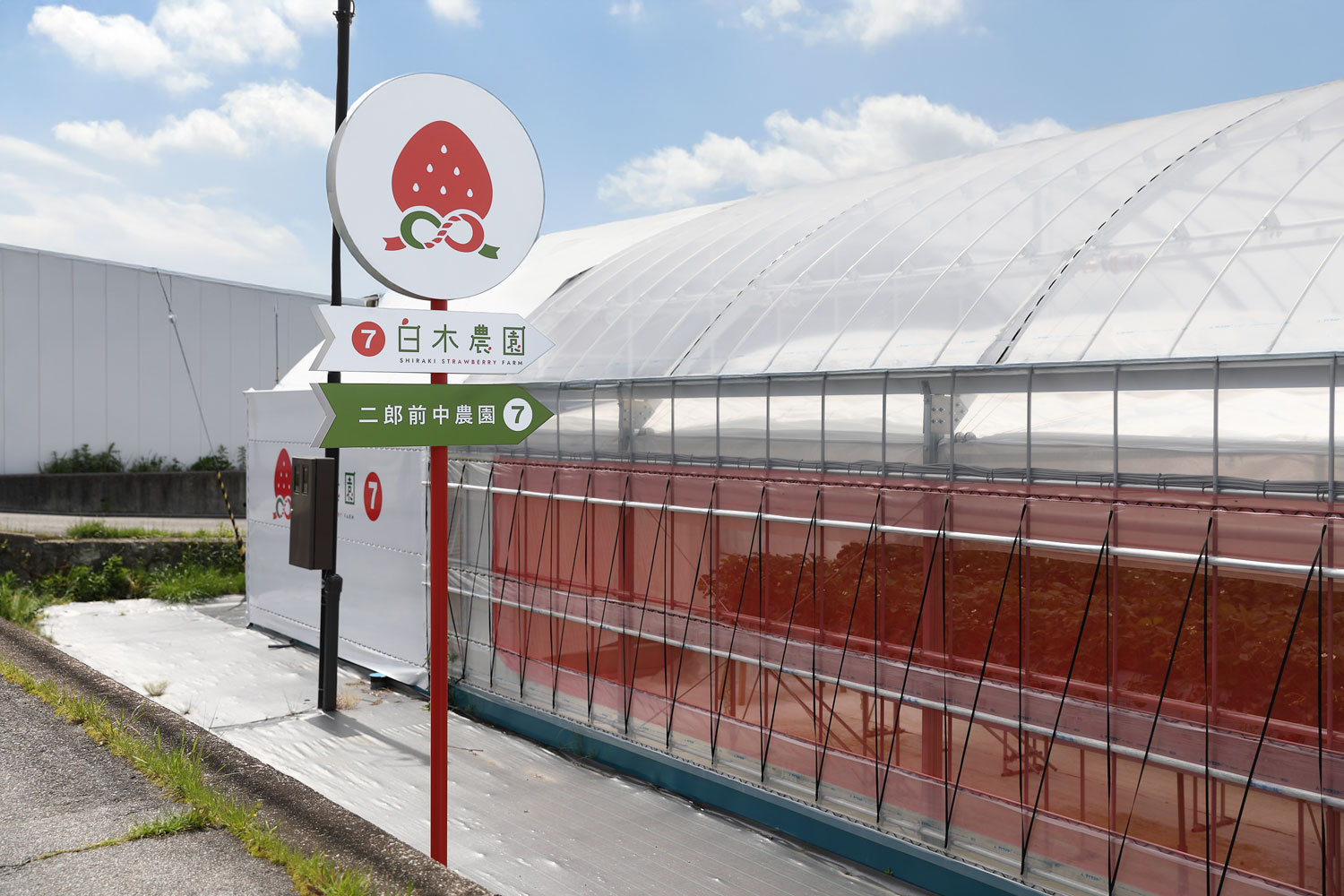 いちご農園の看板デザイン