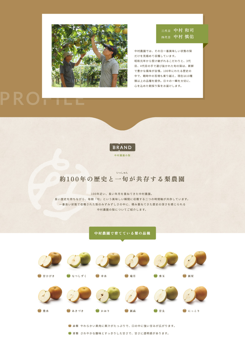 梨農園のホームページデザイン_愛知県名古屋市 中村農園