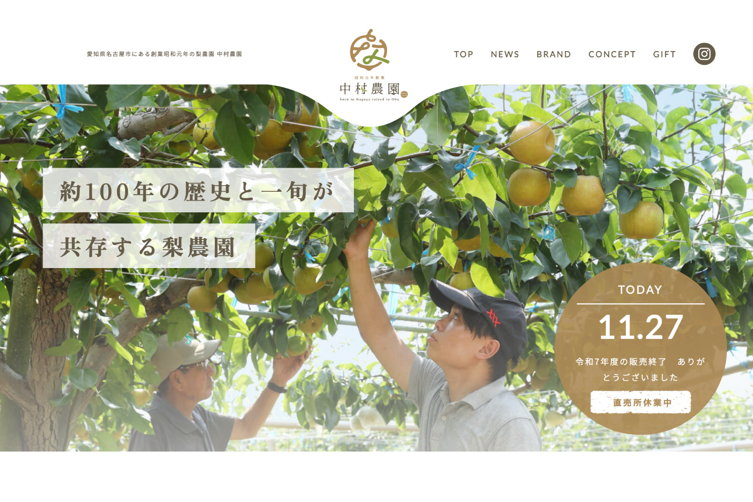 梨農園のホームページデザイン_愛知県名古屋市 中村農園
