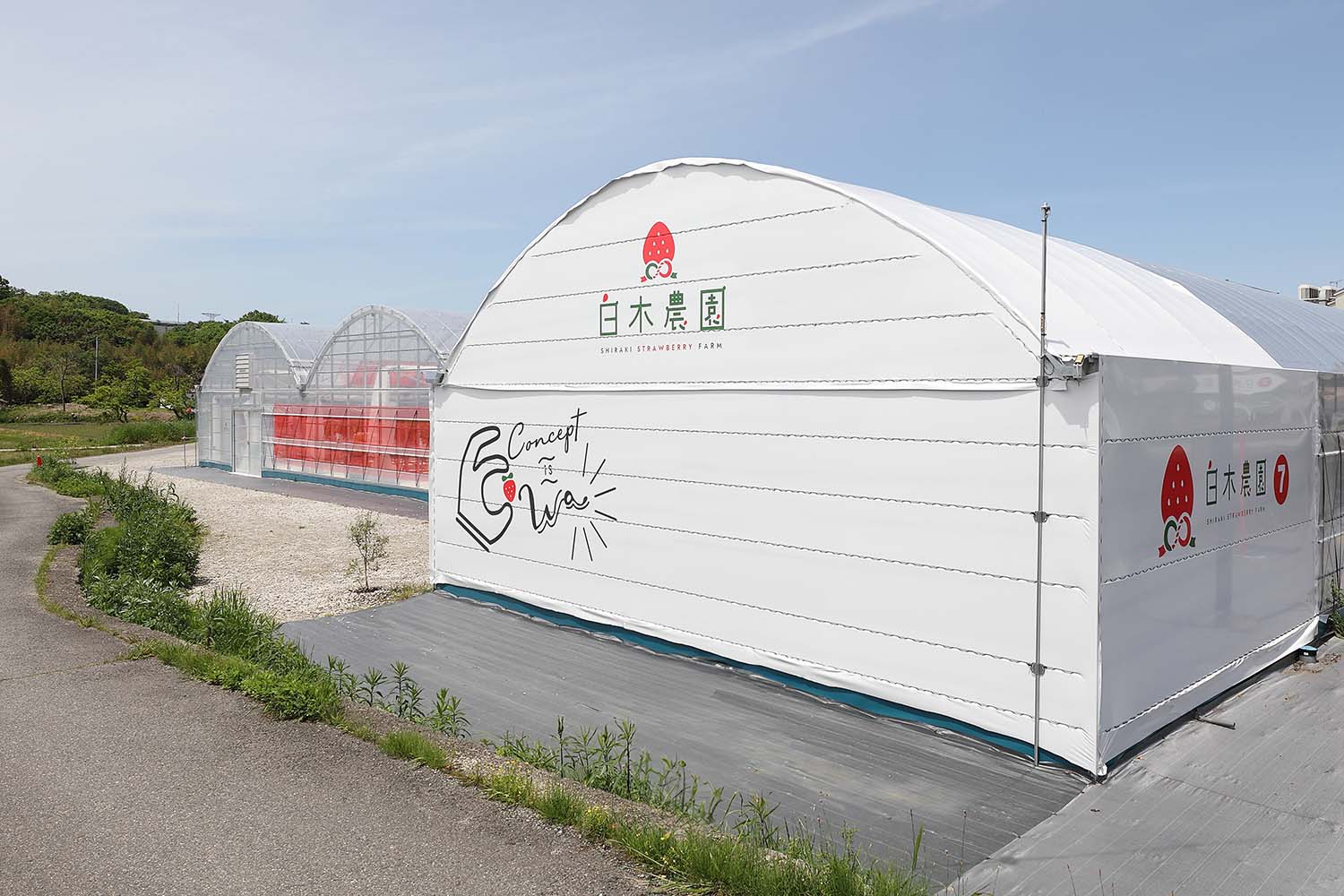 いちご農園のビニールハウスデザイン