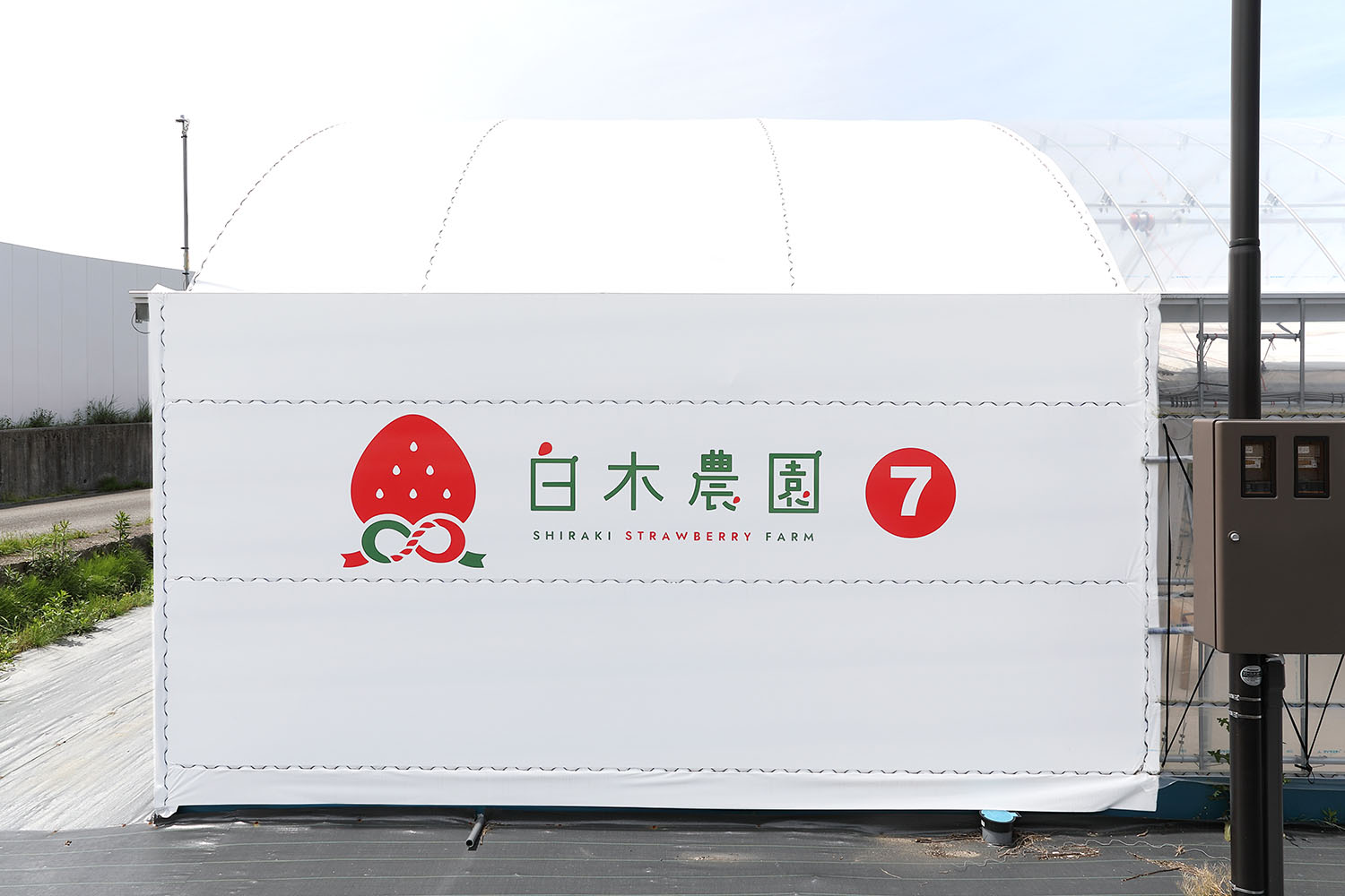 いちご農園のビニールハウスデザイン