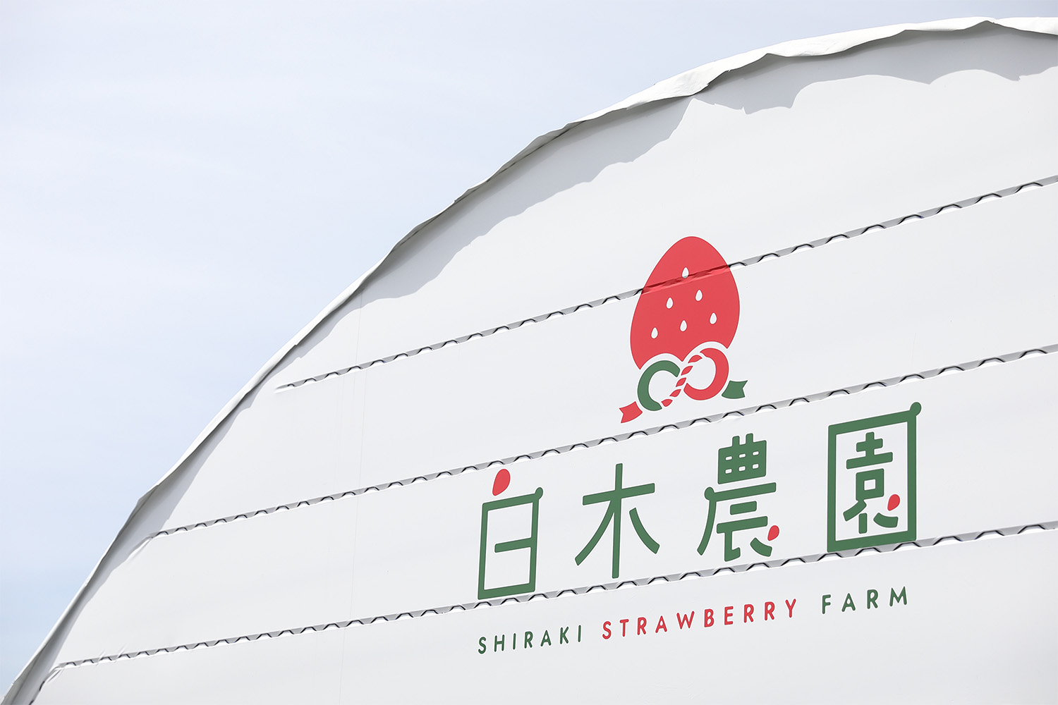 いちご農園のビニールハウスデザイン