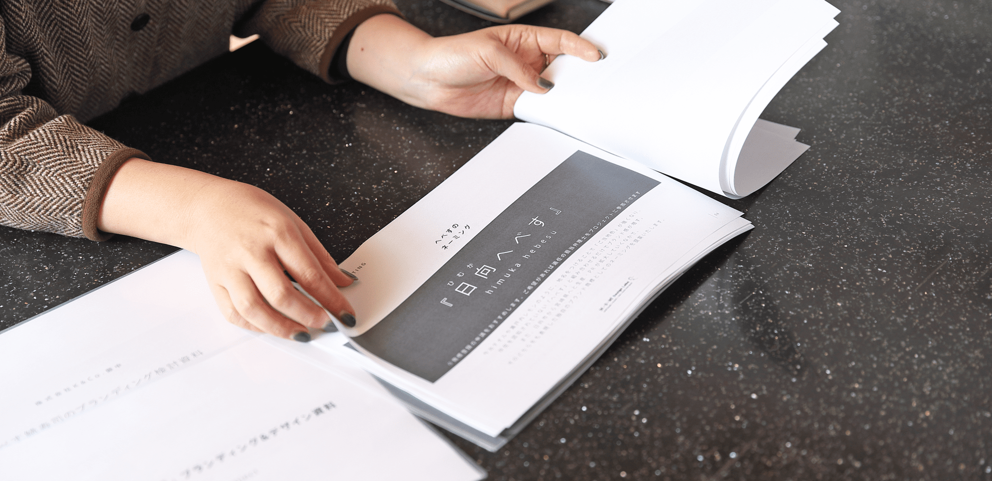 日向へべすロゴ資料